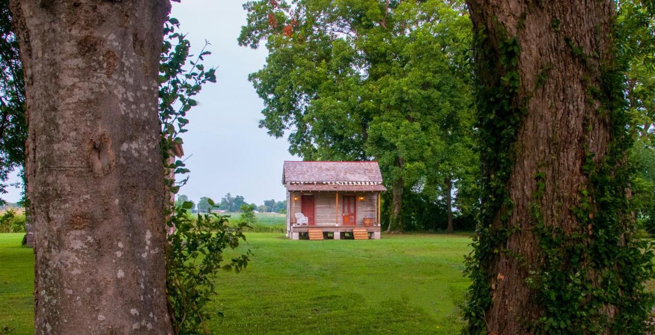 Bed and Breakfast Belmont Plantation, Est 1857 Greenville Exterior foto